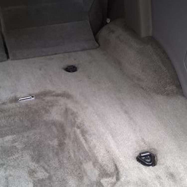 Interior carpets after cleaning
