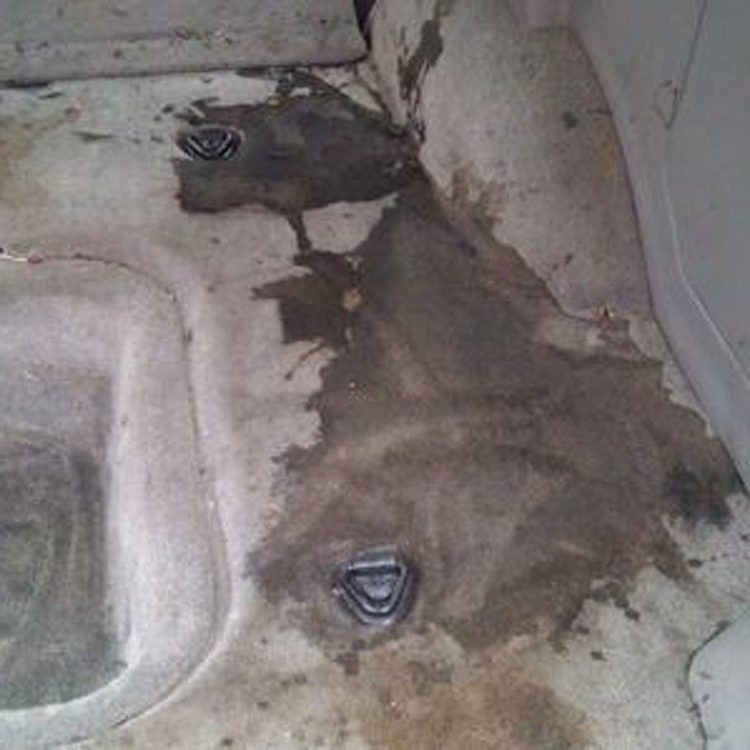 Interior carpets before cleaning